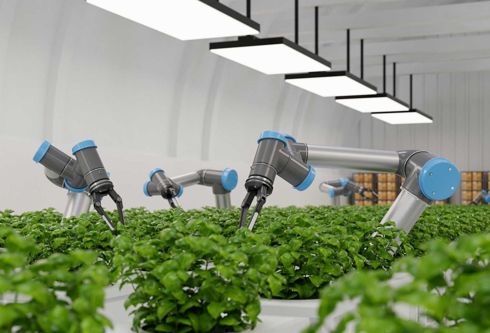 robotic-in-agriculture-futuristic-concept-agricult-2023-11-27-05-25-32-utc.jpg